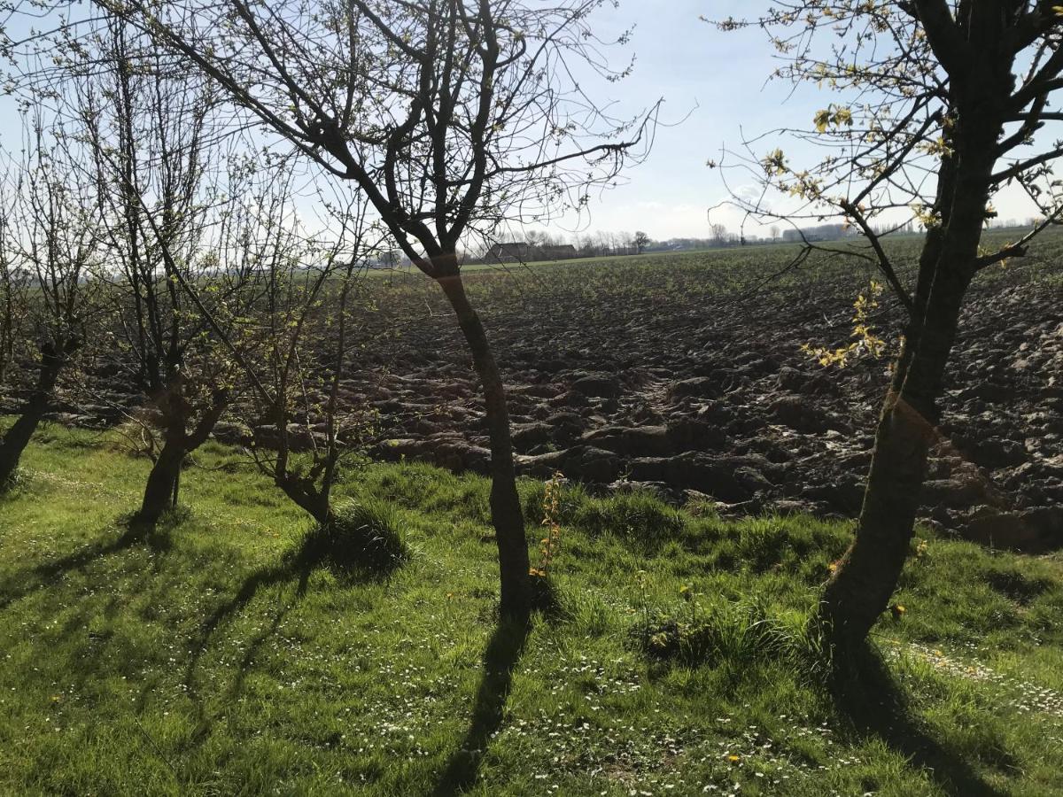 Dijkhuisje Zeeland Waterlandkerkje Kültér fotó
