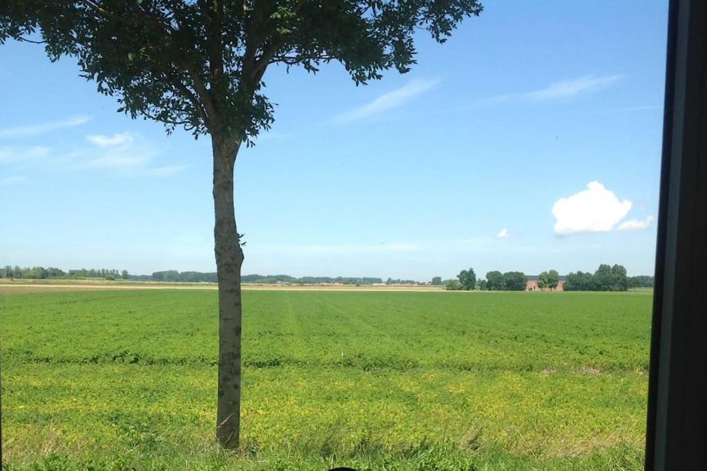 Dijkhuisje Zeeland Waterlandkerkje Kültér fotó