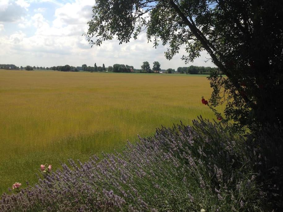 Dijkhuisje Zeeland Waterlandkerkje Kültér fotó