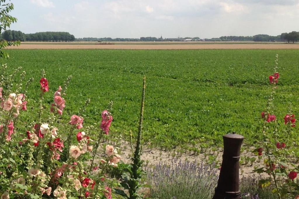 Dijkhuisje Zeeland Waterlandkerkje Kültér fotó
